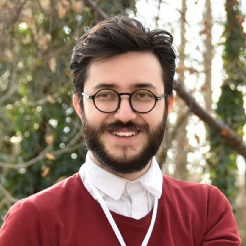 محمد گرویی