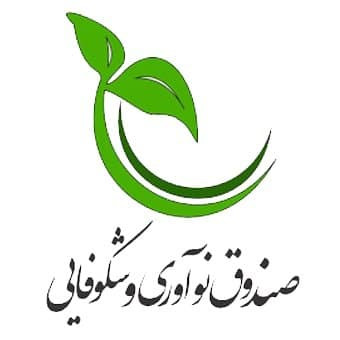 صندوق نوآوری و شکوفایی