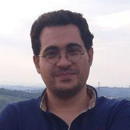 مهندس محمد مهدی سیفی