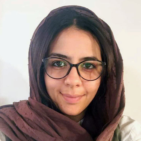 نگین منصوری