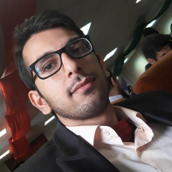 محمد حسنی