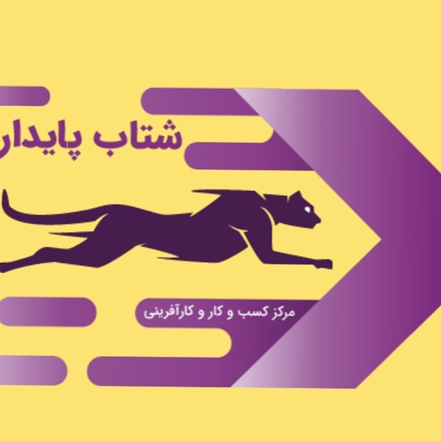 شتاب پایدار