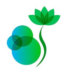 مرکز تحقیقات میانرشتهای کاربردی ارتوپدی
