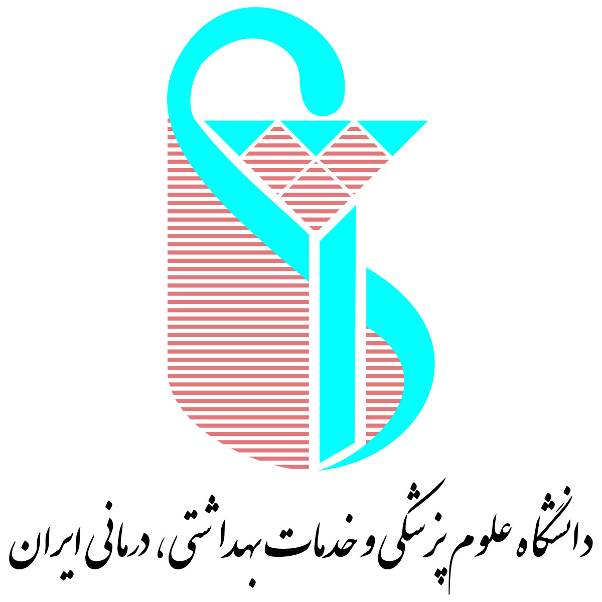 دانشگاه ايران