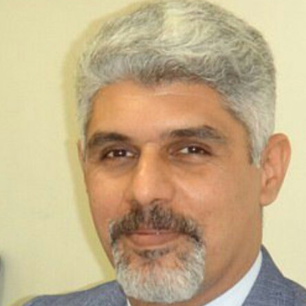امیر کریمی