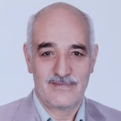 محمد جعفری اصل