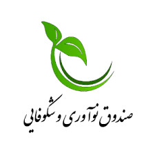 صندوق نوآوری و شکوفایی