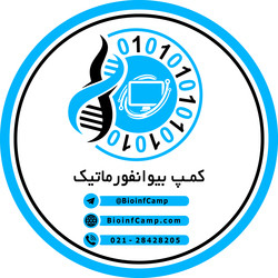 کمپ بیوانفورماتیک