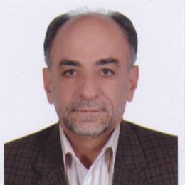جناب آقای دکتر منصور شاه ولی