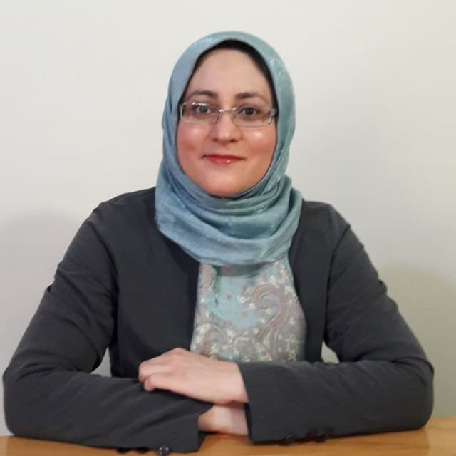 پروين شيربيشه (پرنويسا)