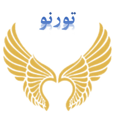 آکادمی تورنو