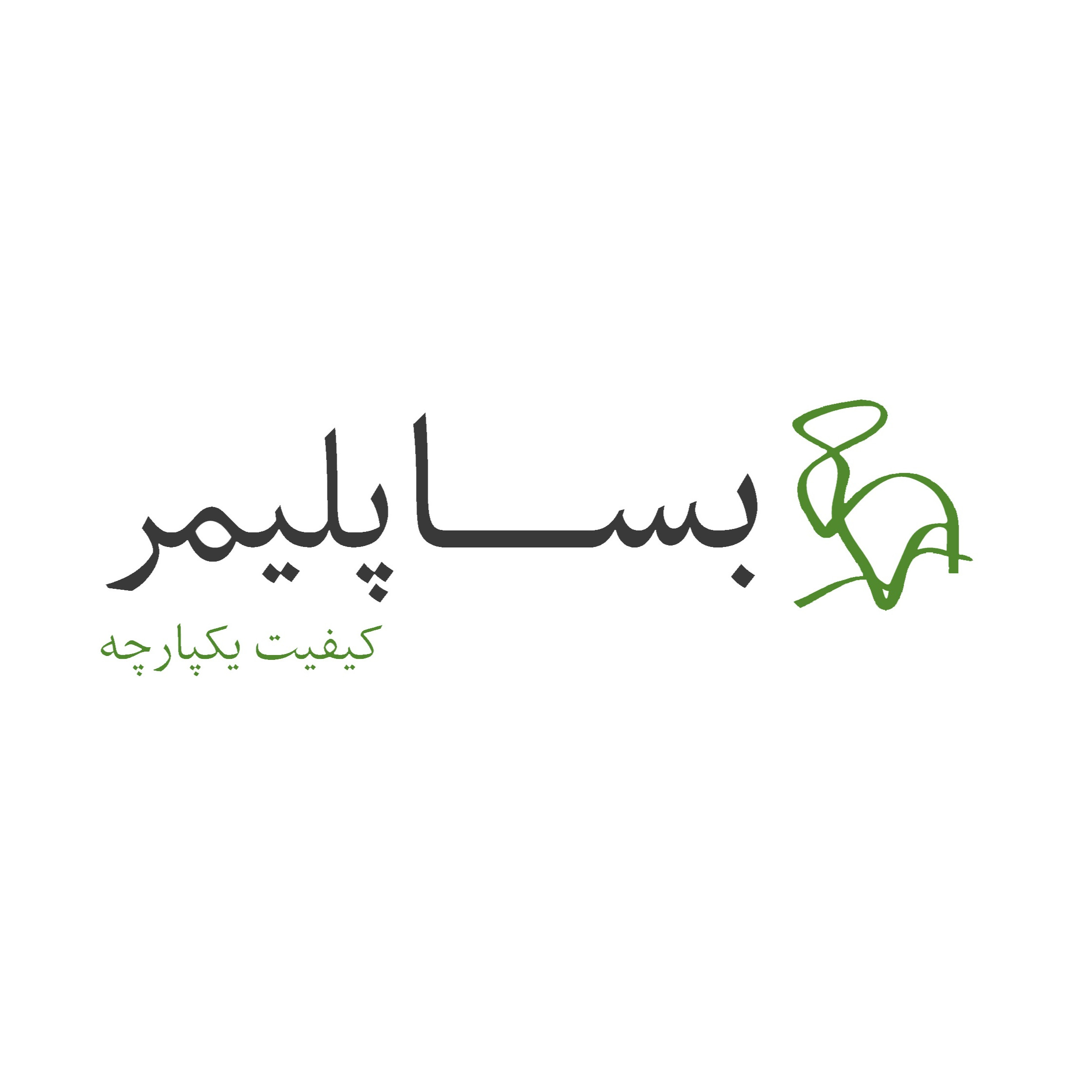 شرکت بسپار سازان ایرانیان(بساپلیمر)