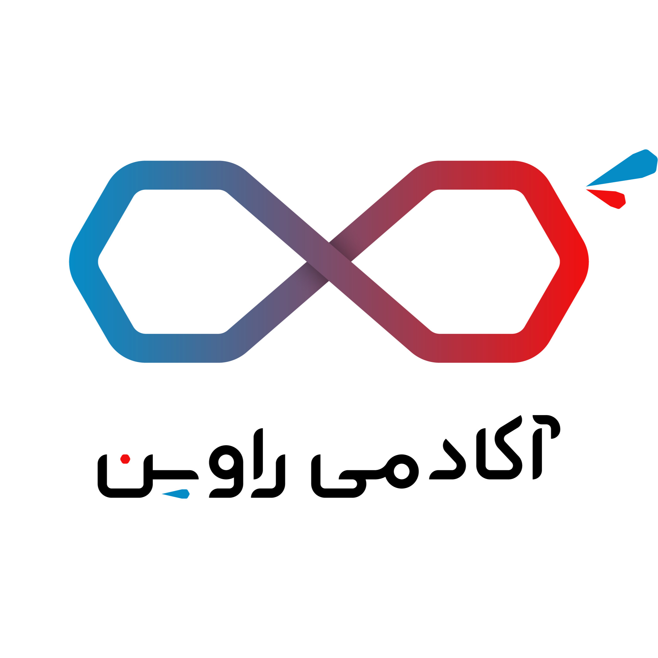 آکادمی راوین