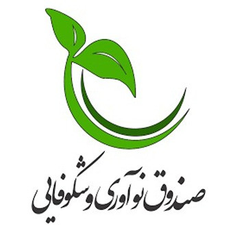 صندوق نوآوری و شکوفایی
