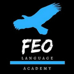 آکادمی فِئو FEO academy