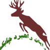 آواتار