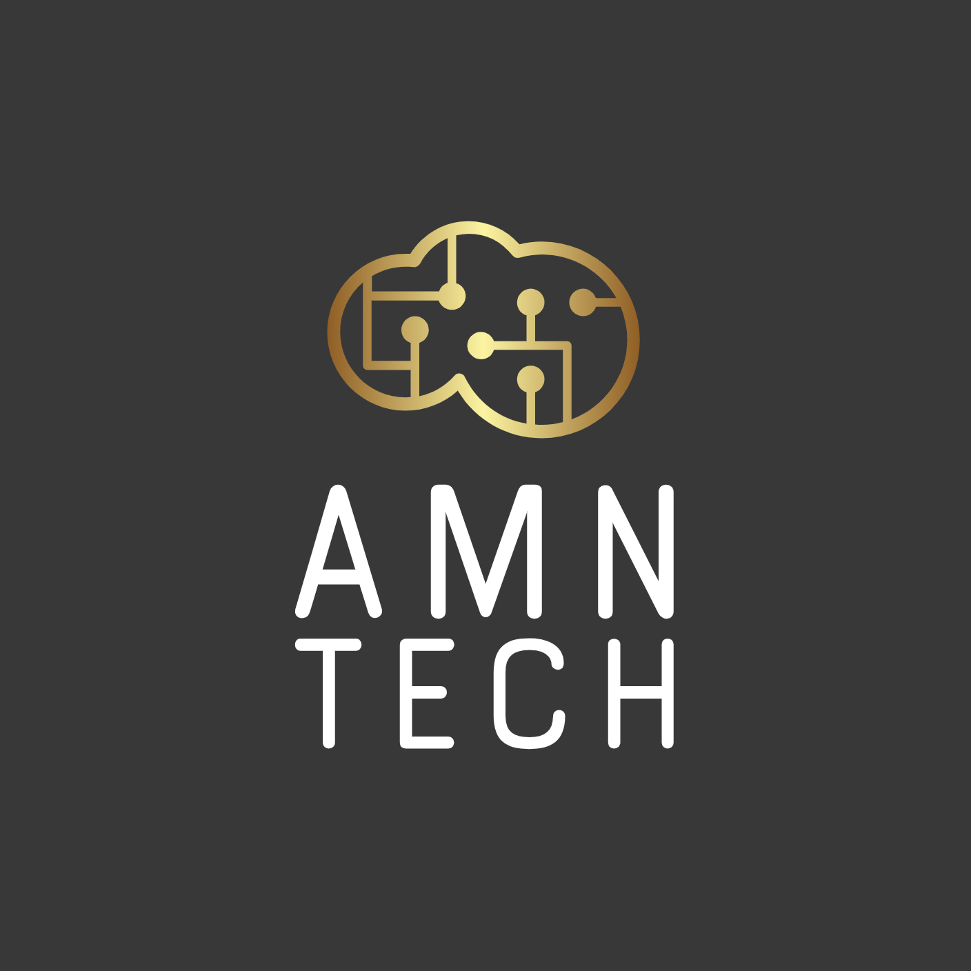 AMN Tech