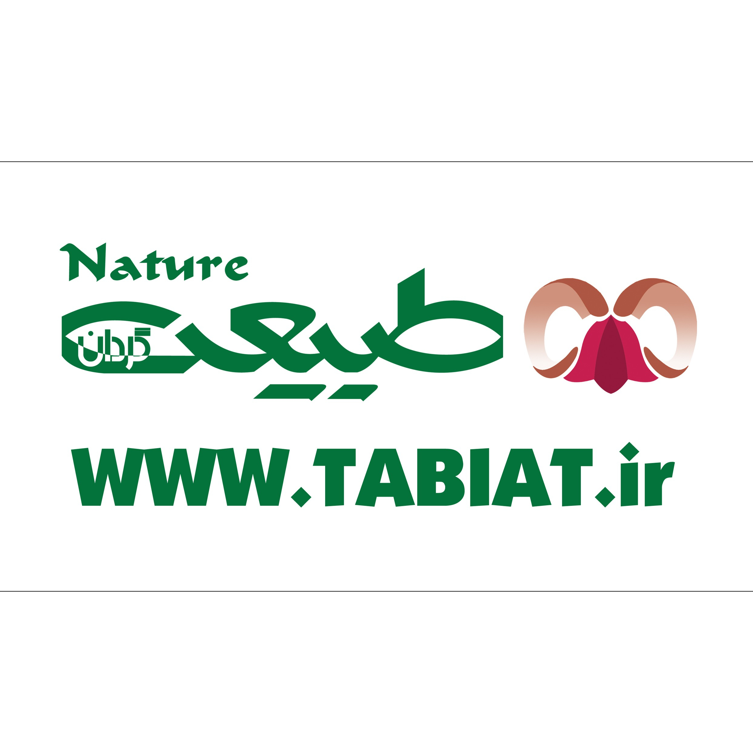 آواتار