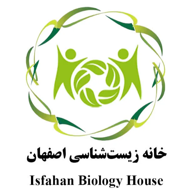 آواتار