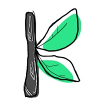 آکادمی کاروکمپ